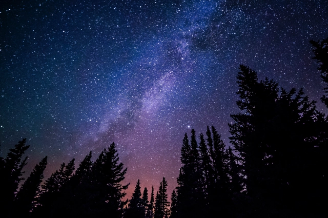 Ryan Hutton Jztmx9yqjbw Unsplash
