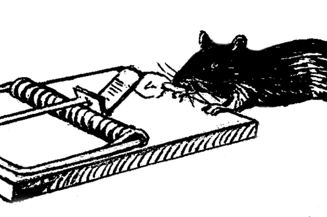 Illustration of mouse trap