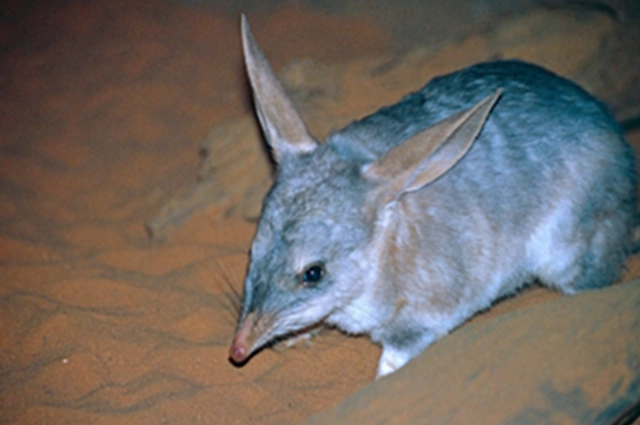 Da36e9d7 4Df9 48B8 92Cf 90E7583c547f