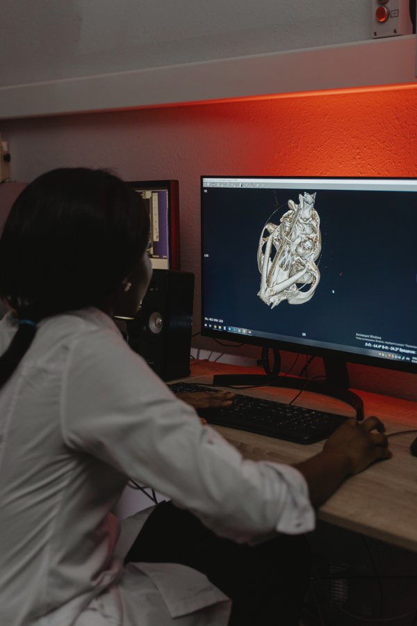 Person wearing a lab coat is is looking at a computer screen showing 3-d model of a skull