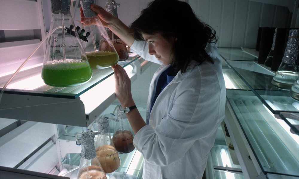 Woman checking the meniscus of liquid in the beaker in laboratory