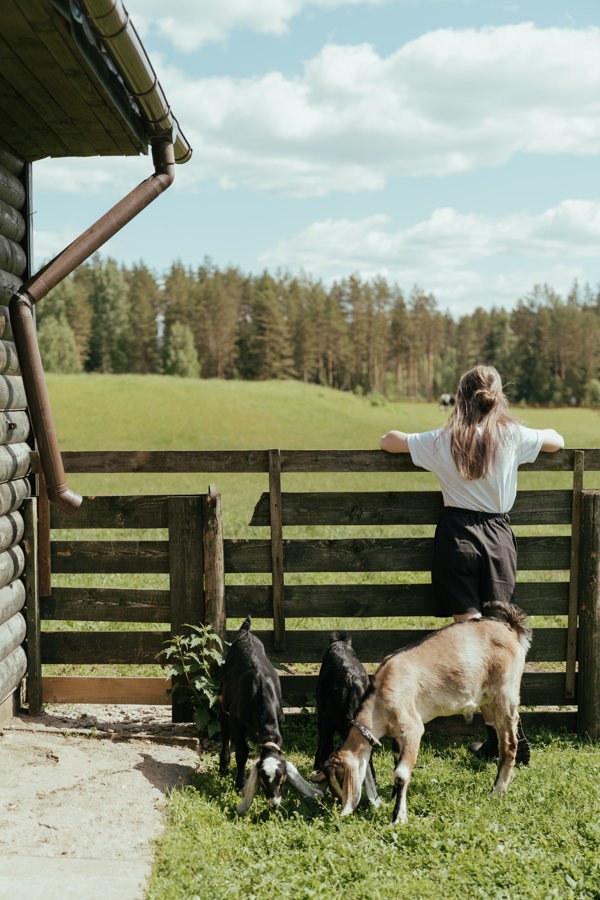 A farm worker is looking at the farm with animals around her