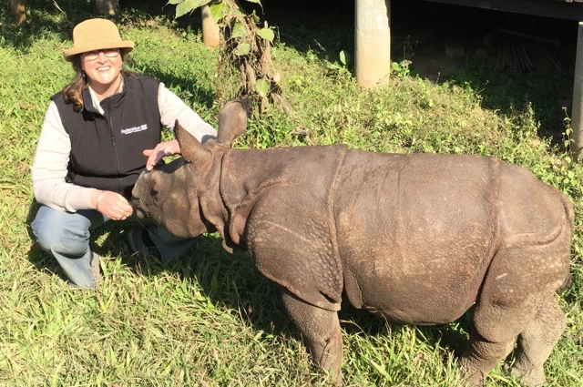 Wendy Wright with juvenile rhino