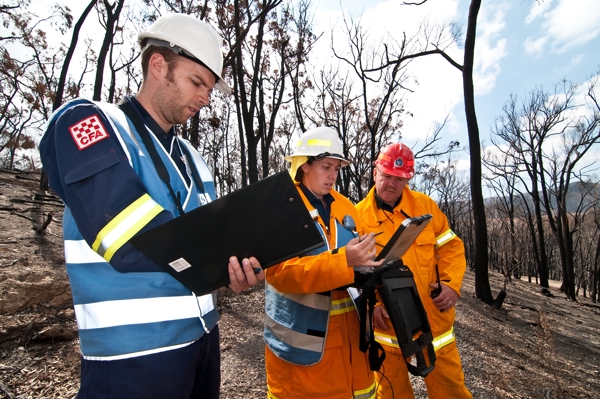 Three people in firefighter suits in a forest with burned trees