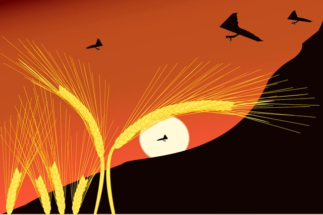 Biomimicry Lessons From Nature