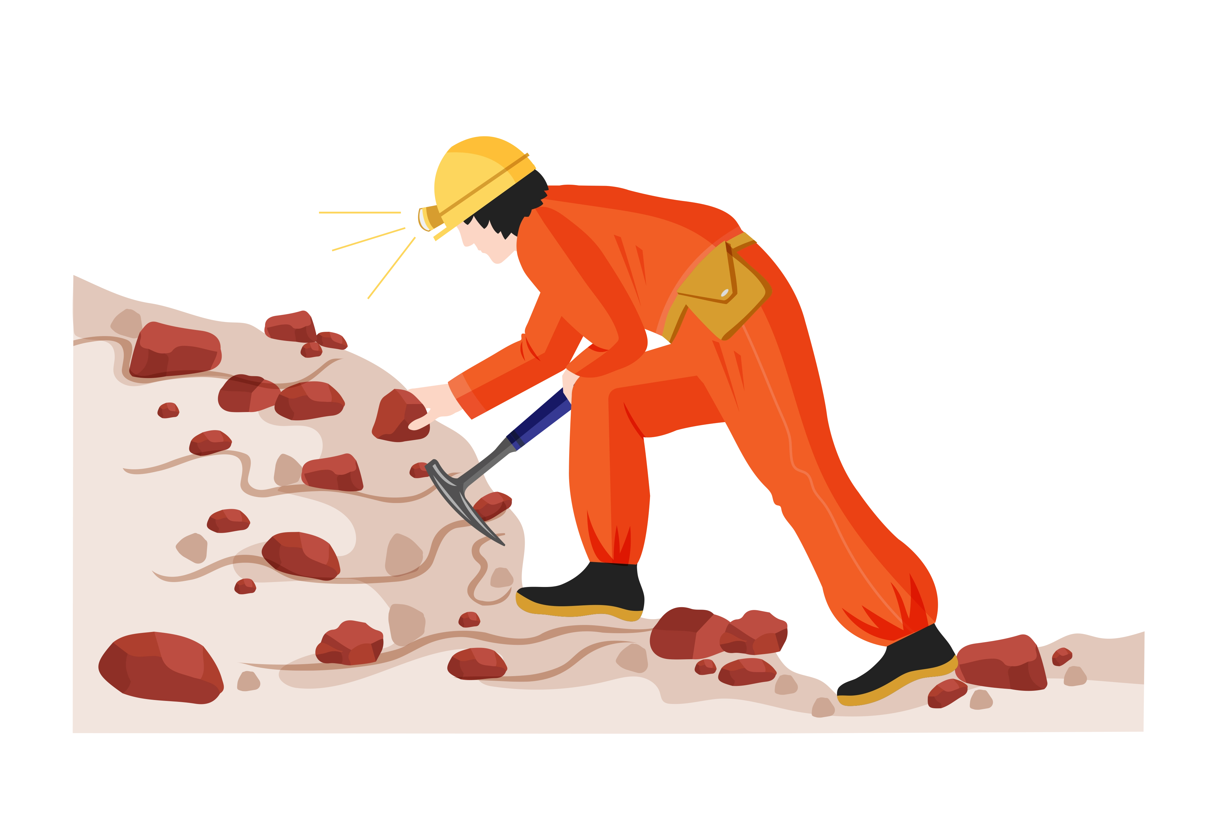 Quiz Collect Rock Samples 2025