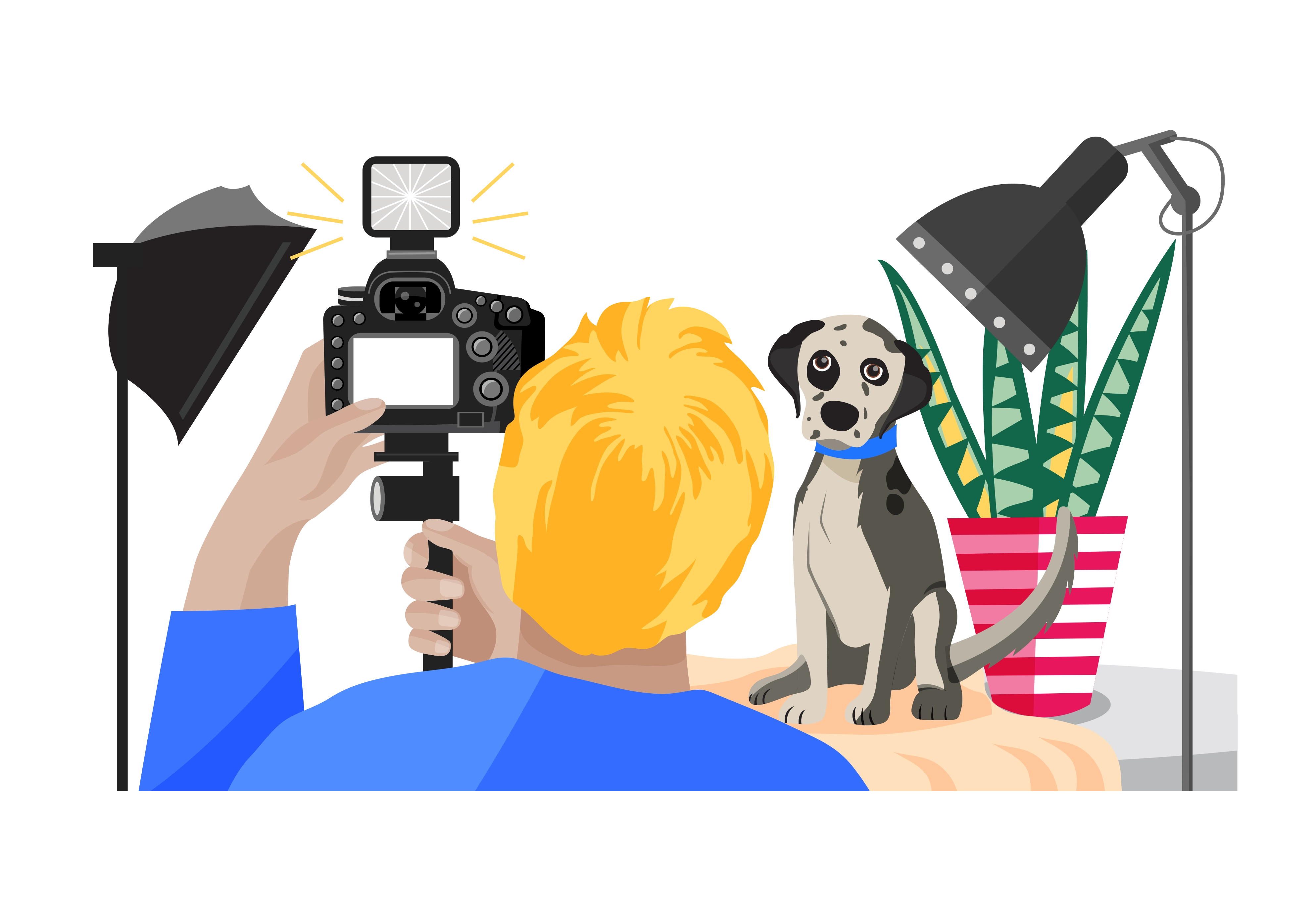 Quiz Take Photographs 2025