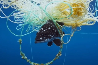 David Attenboroughs Plastic Message