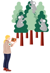Zoology Studies Forestry
