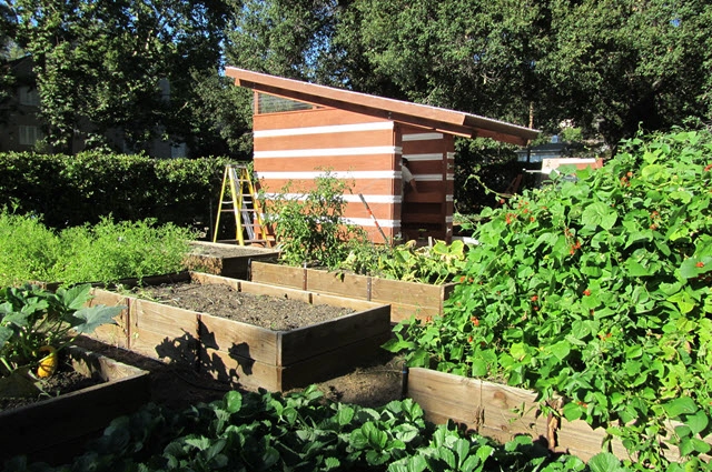 Create And Grow A Sustainable Garden