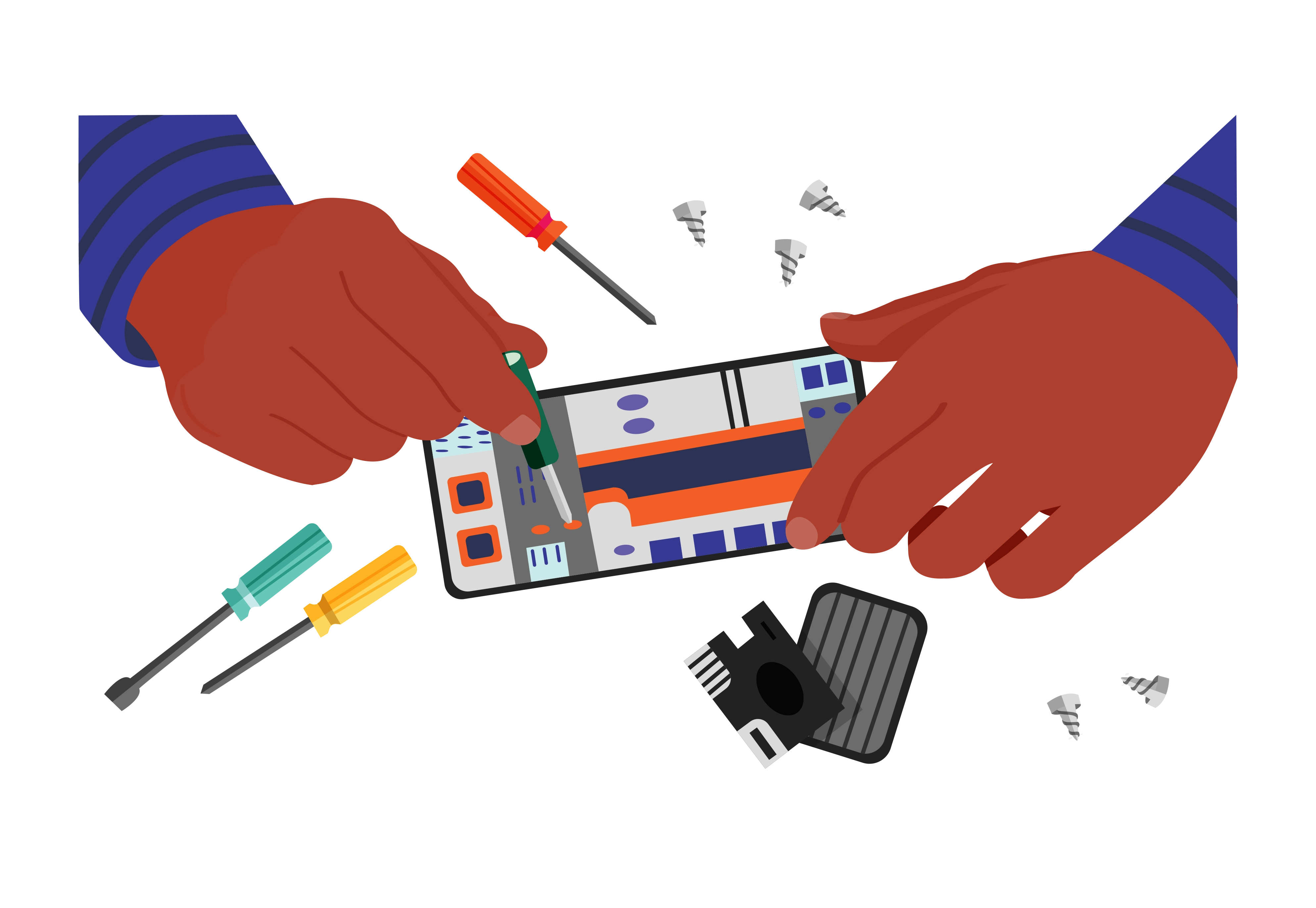 Quiz Dismantle Something 2025