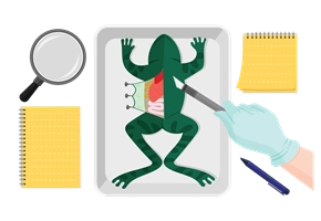 Dissectspecimens Final 01