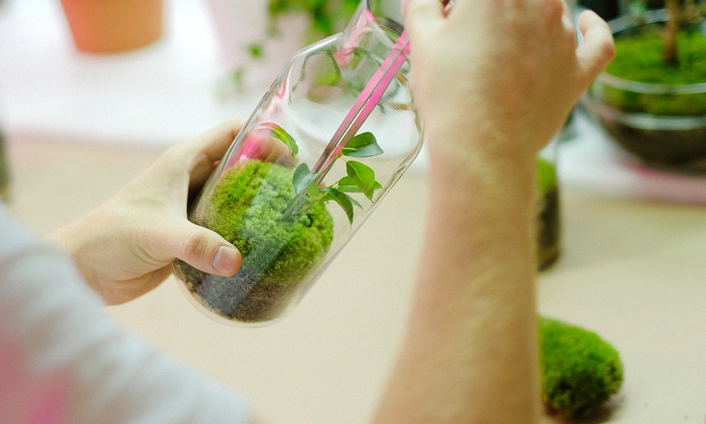Laboratory worker picking a plant form a glass bottle with tweezers