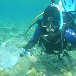 Cecilia Villacorta Rath Lizard Island