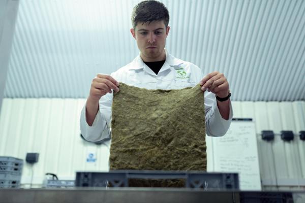 Pexels Thisisengineering 3912511