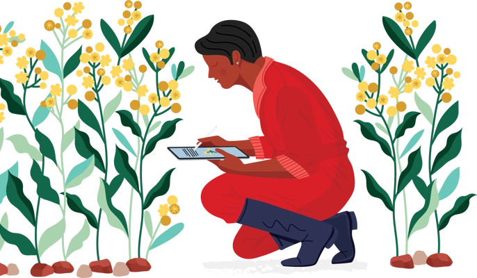 Agriculture (1)