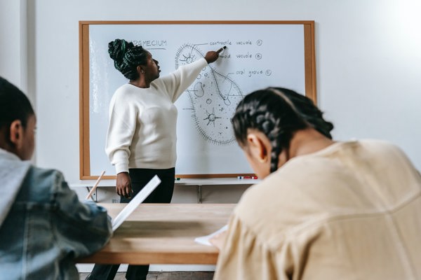 A teacher is pointing at a white board showing biology drawings